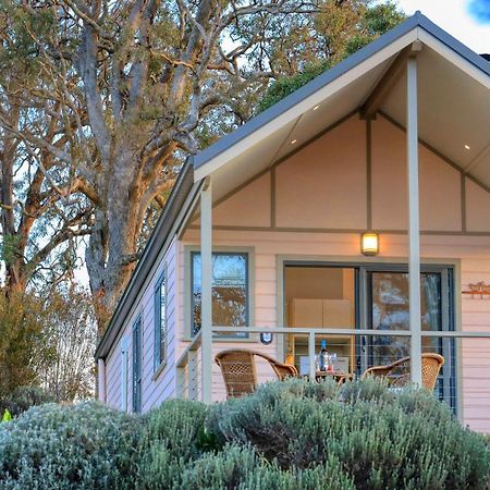 Grace Cottages Uralla Esterno foto