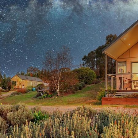 Grace Cottages Uralla Esterno foto