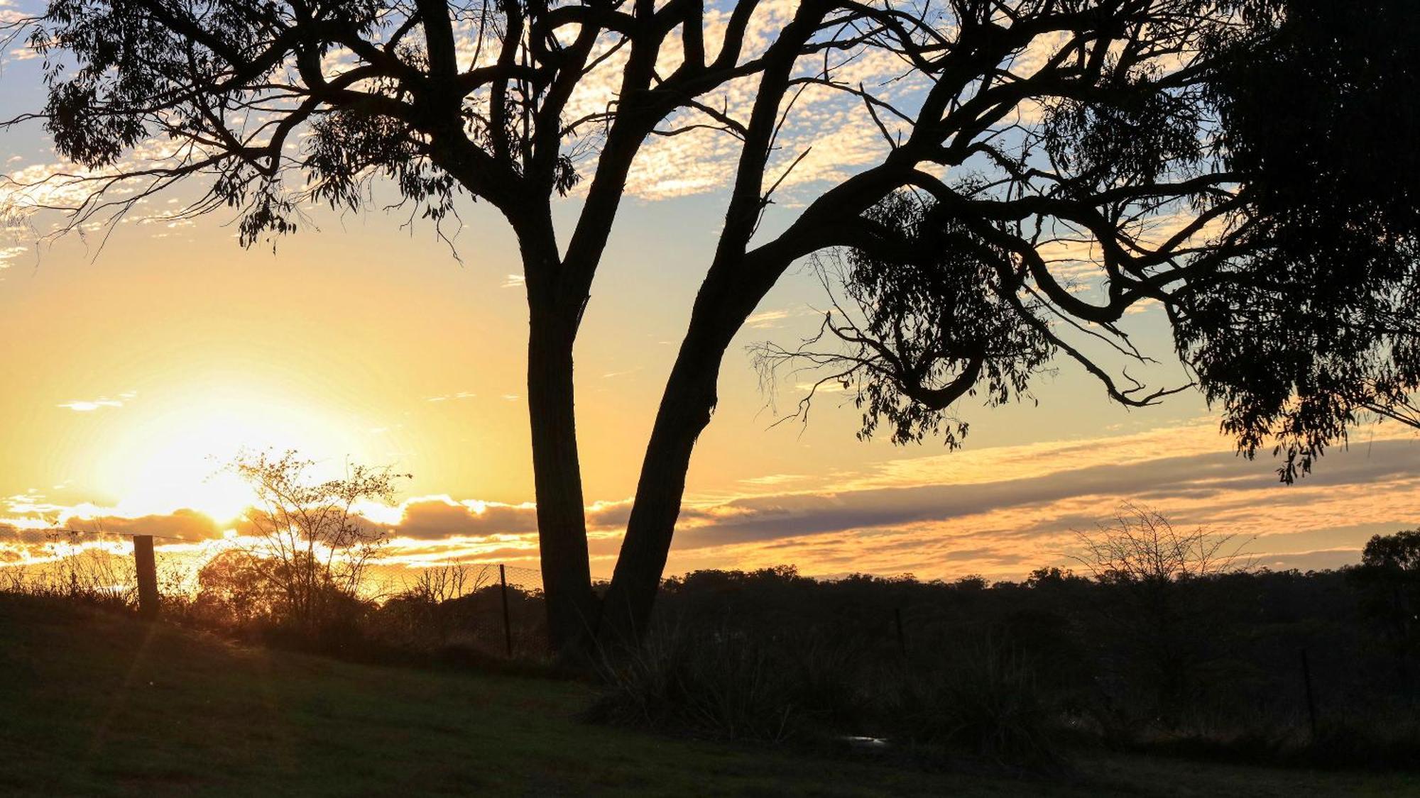 Grace Cottages Uralla Esterno foto