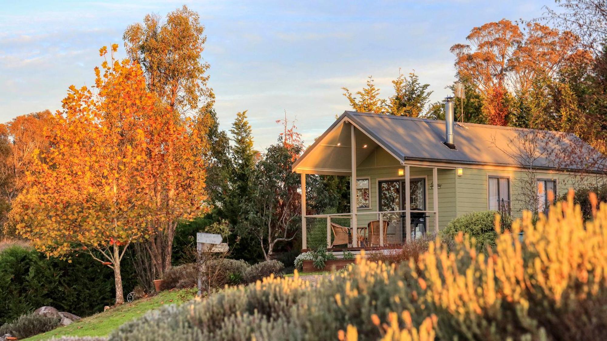 Grace Cottages Uralla Esterno foto