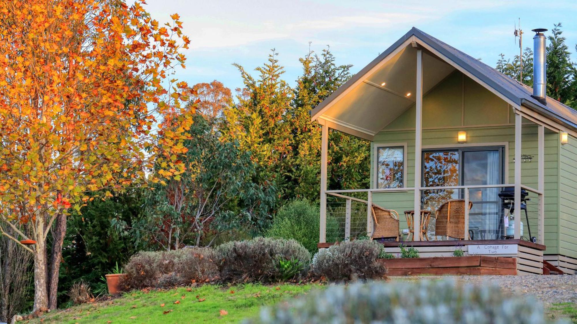 Grace Cottages Uralla Esterno foto
