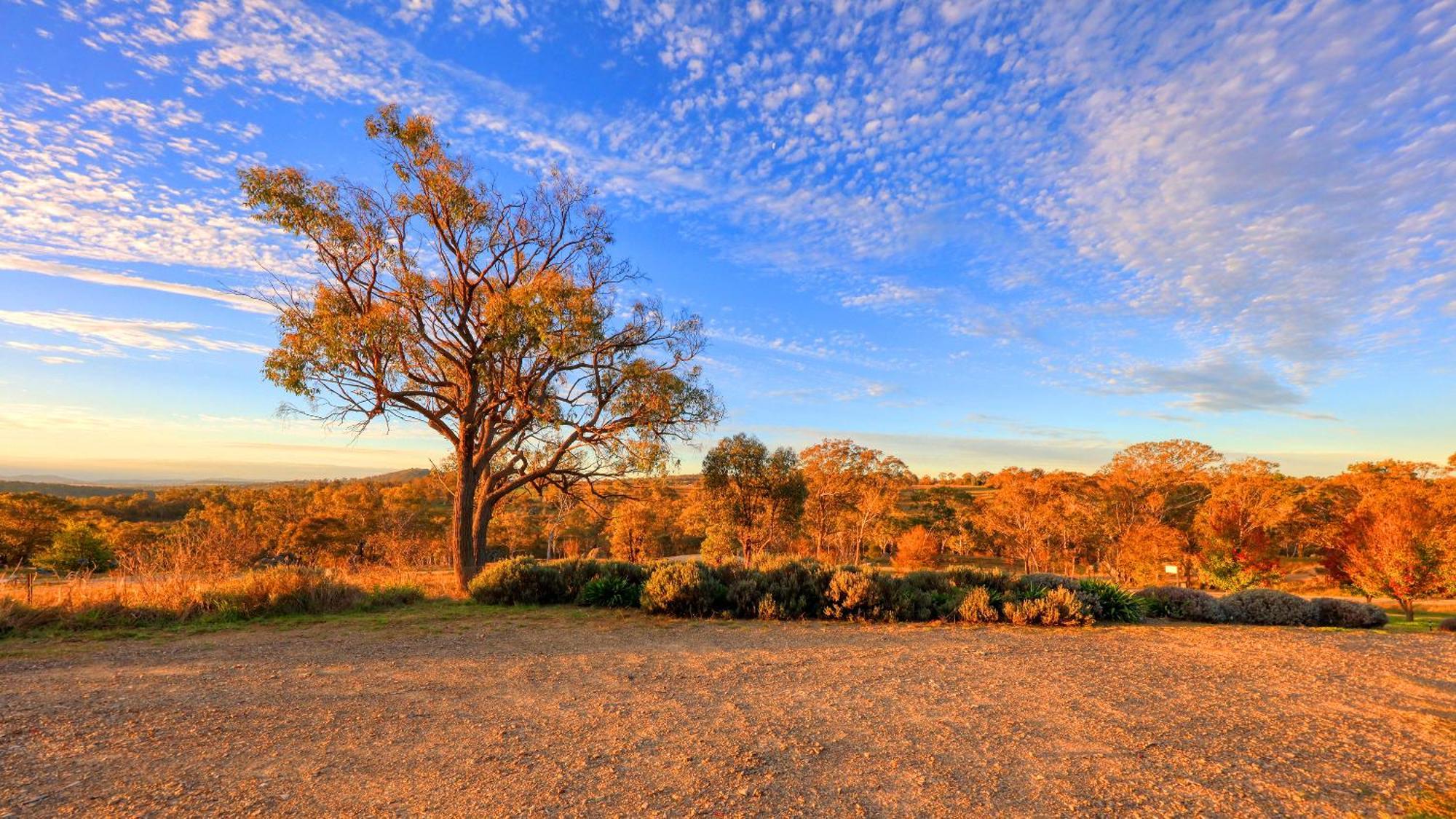 Grace Cottages Uralla Esterno foto
